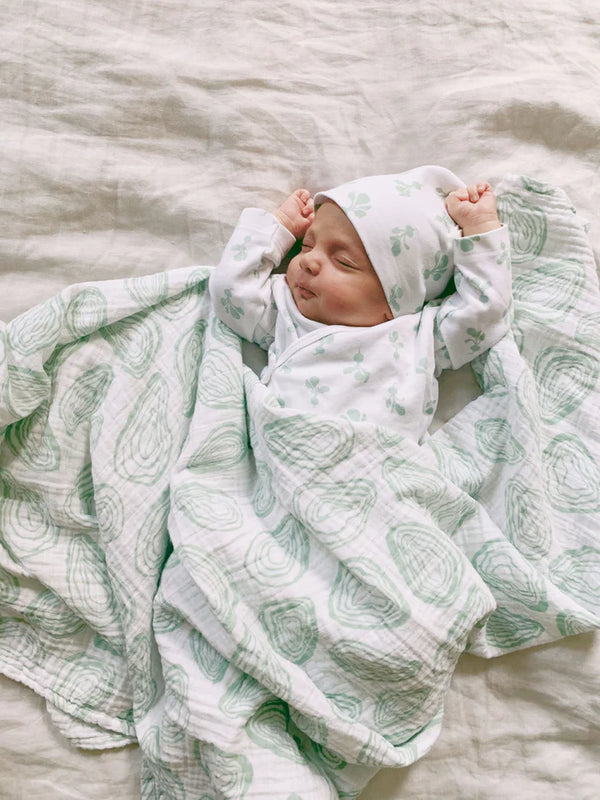 Swaddle | Agave Oyster