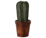 Flower pot with cactus