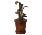 Flower pot with plant