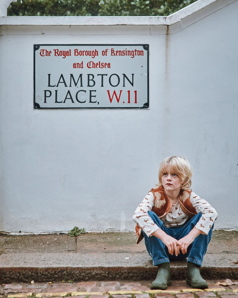 Tee Shirt All Over | Dachshund