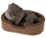 Kitten Plush, Medium | Earth Gray