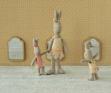 Rabbit, Micro Ballet suit and skirt | Rose