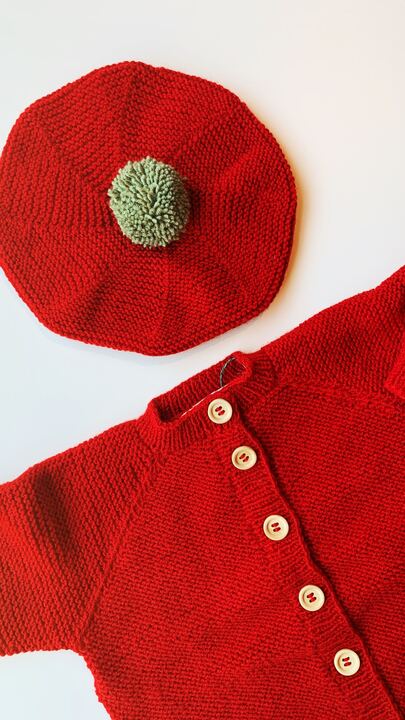 Regular Knitted Cardigan | Red