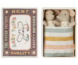 Baby Mice Twins In Matchbox