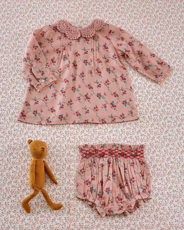 Bloomer Brode | Aster