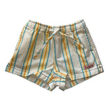Multicolor Stripes Shorts