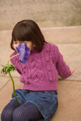 Jumper Anikalia | Raspberry