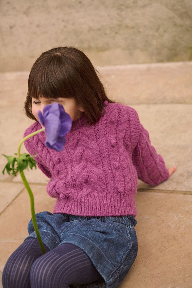 Jumper Anikalia | Raspberry