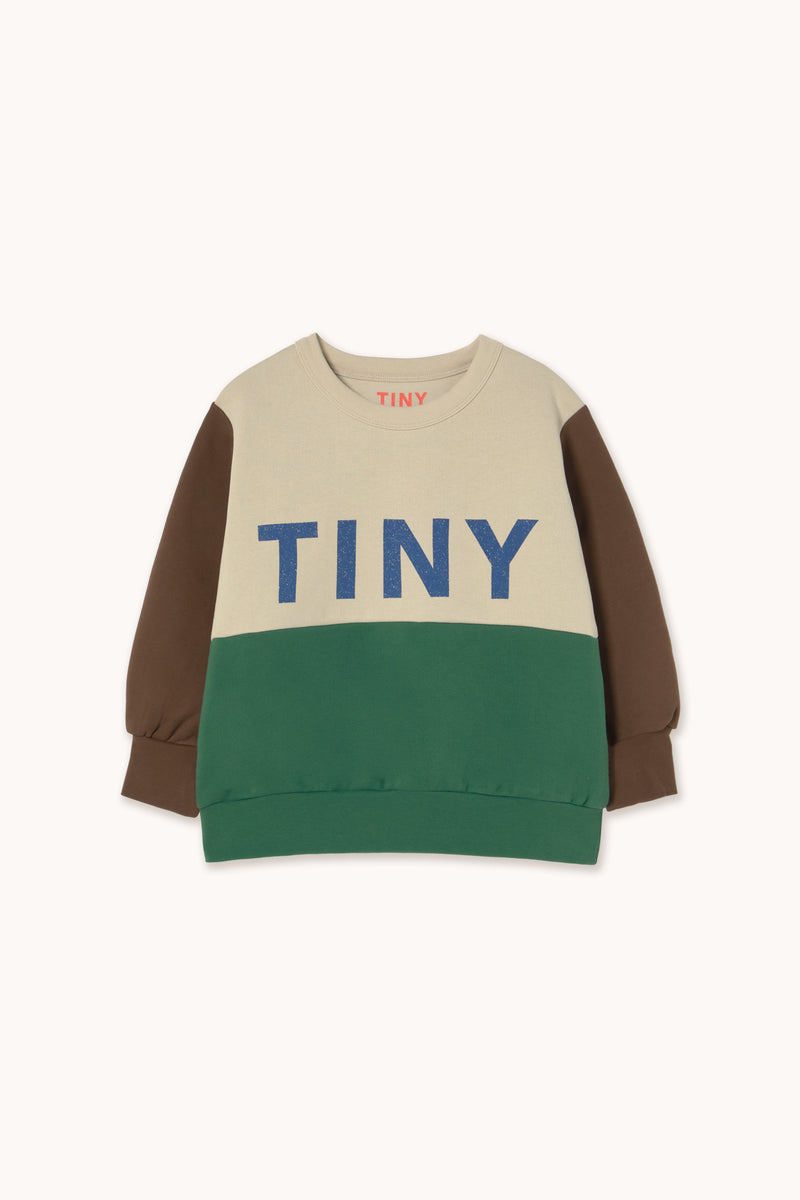 Color Block Sweatshirt