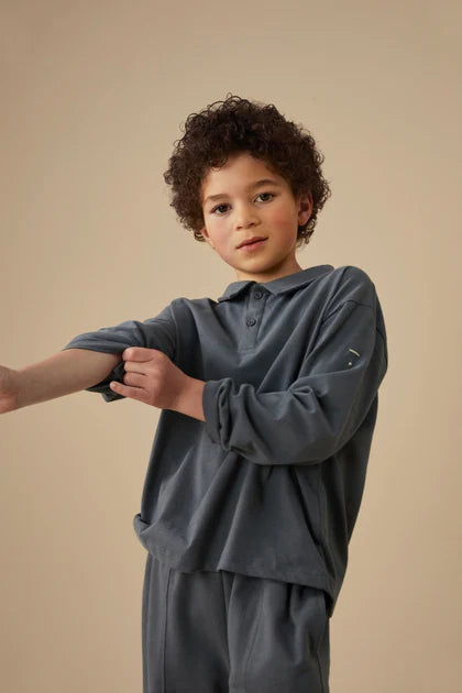 Long-sleeved Polo Shirt | Blue Grey