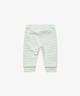 Andy Baby Legging | Dusty Seafoam Mini Stripe