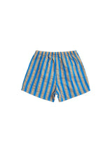 New Hairline Woven Shorts