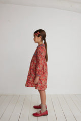 Floria Dress | Liberty Weavers Wonder