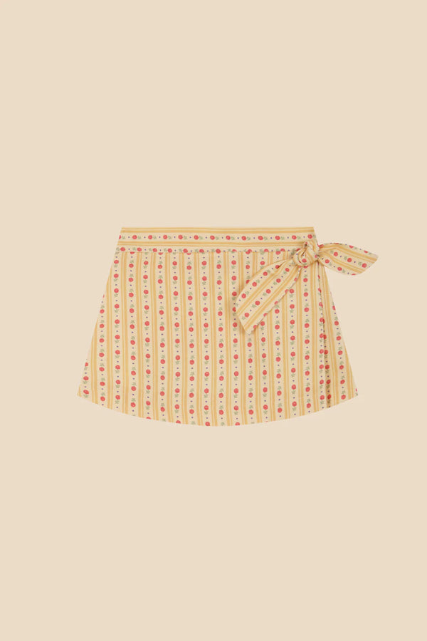 Vilela mini skirt