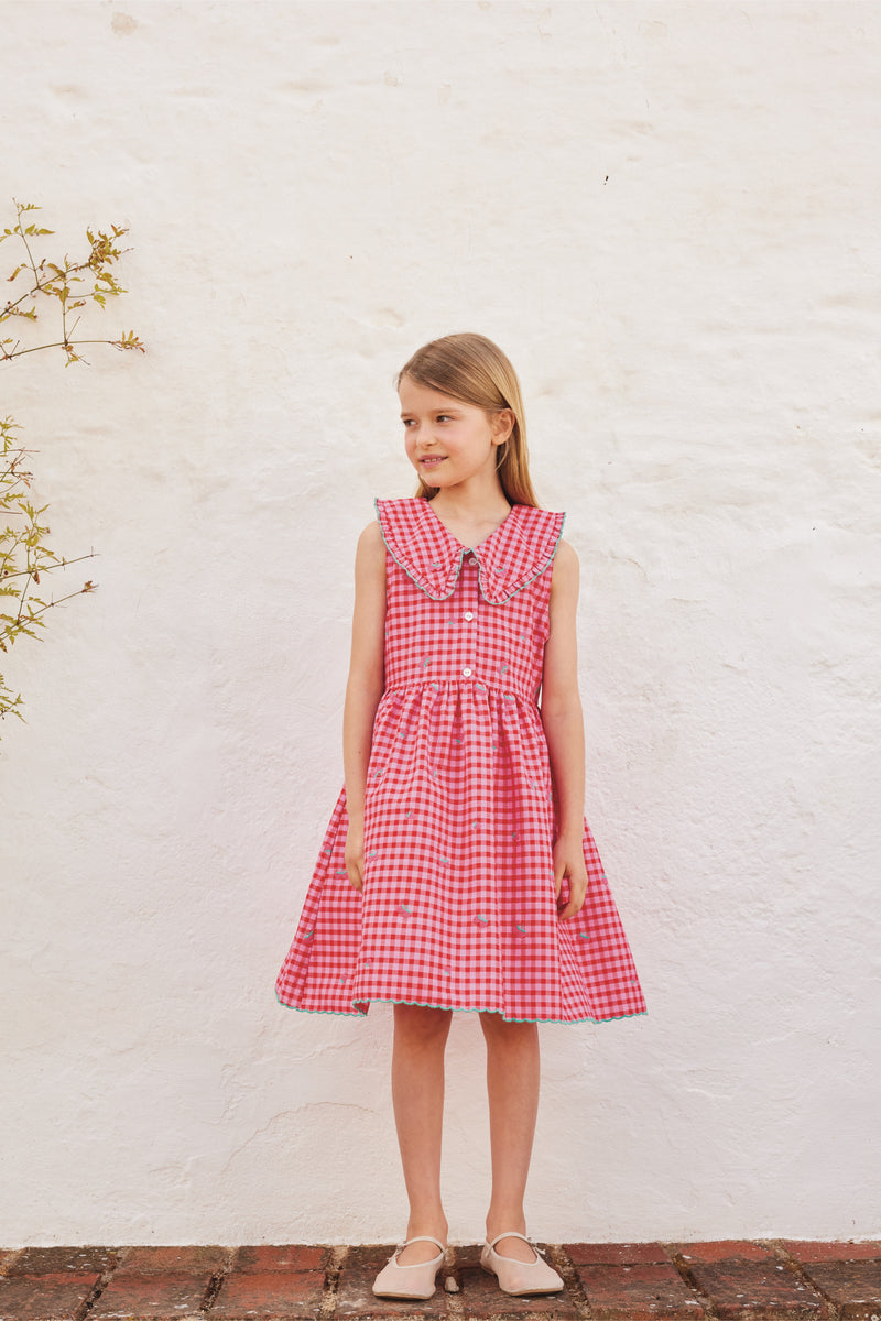 Alisa Dress | Raspberry Check