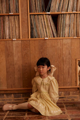 Carey Dress | Lichen