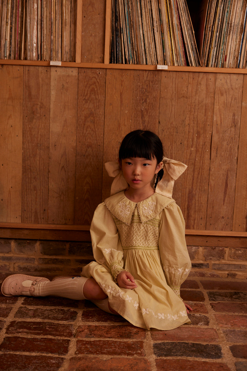 Carey Dress | Lichen