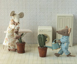 Flower pot with cactus