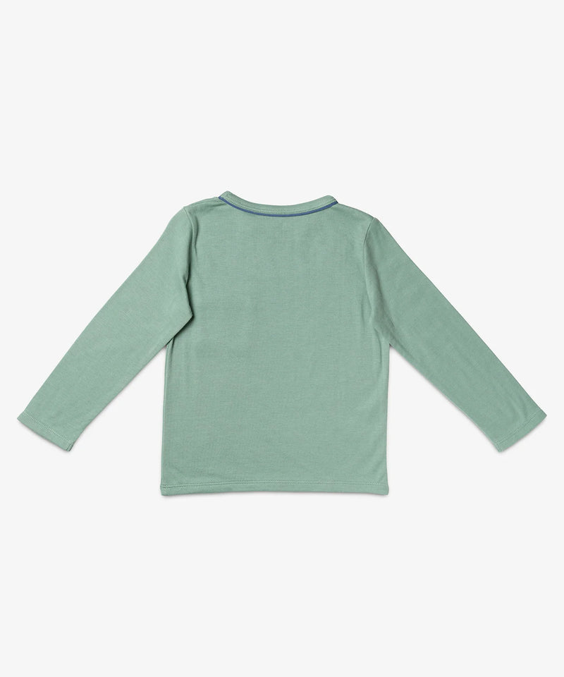 Edward Long Sleeve T-Shirt | Sage Color Block