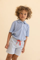 Ocean Swim Shorts | Blue Gingham