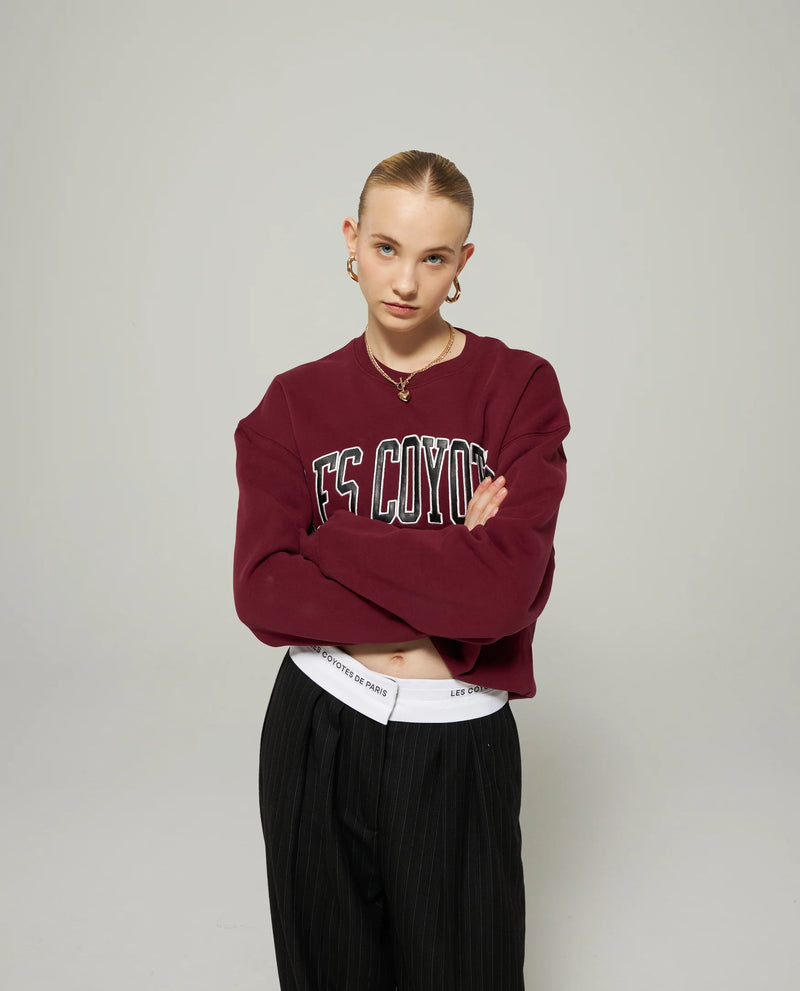 Oversized college sweatshirt deals