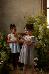 Briska Dress | Oxford Blue