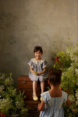 Briska Dress | Oxford Blue