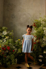 Briska Dress | Oxford Blue