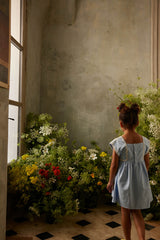 Briska Dress | Oxford Blue