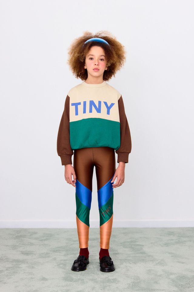 Color Block Sweatshirt