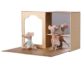 Ballet Mice in Dance Studio | Little Sister and Brother