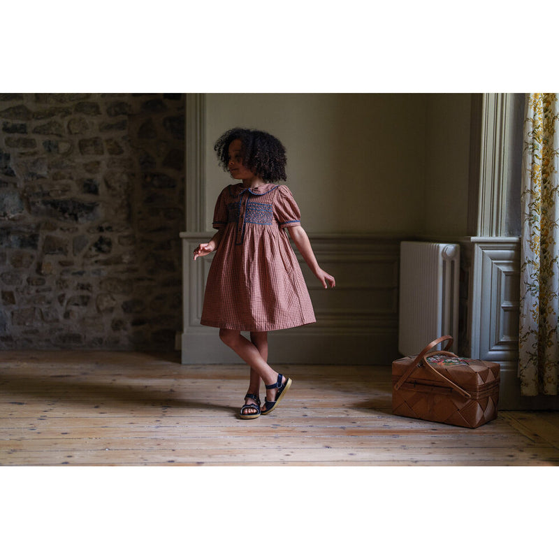 Elizabeth Dress | Tiny Check in Tea Rose