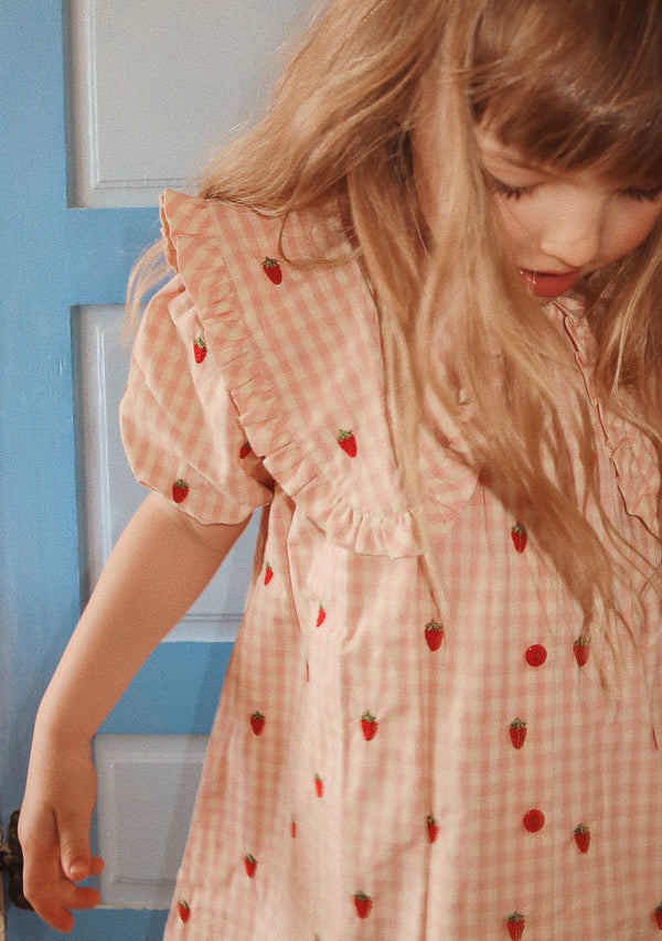 Dolly SS Dress | Pink Berry Gingham