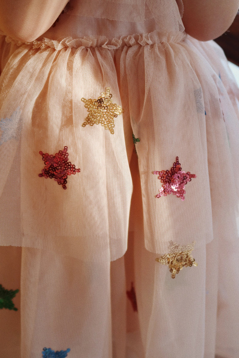 Yvonne Fairy Dress | Multi Star