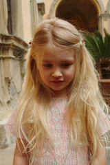 2 Pack Flower Field Hair Clips