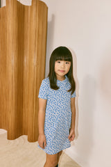 Twiggy Dress | Blue Ribbon Lisse Fields