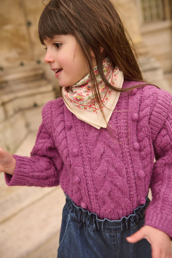 Jumper Anikalia | Raspberry