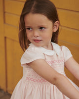 Smock Dress with Emb | Dusty Rose Comb