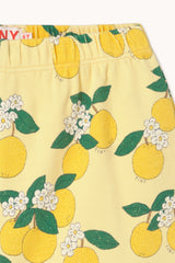 Oranges Rib Short
