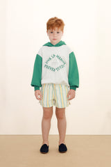 Multicolor Stripes Shorts