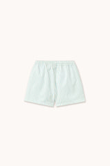Cyan Fine Stripes Trunks