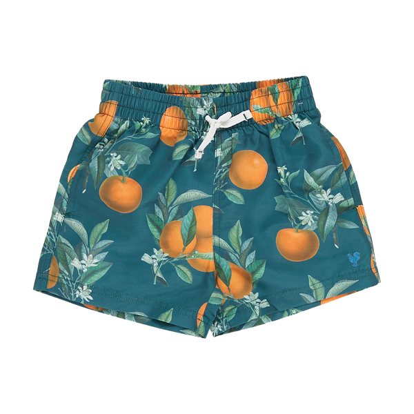 Boys Swim trunk | Green Botanical Oranges