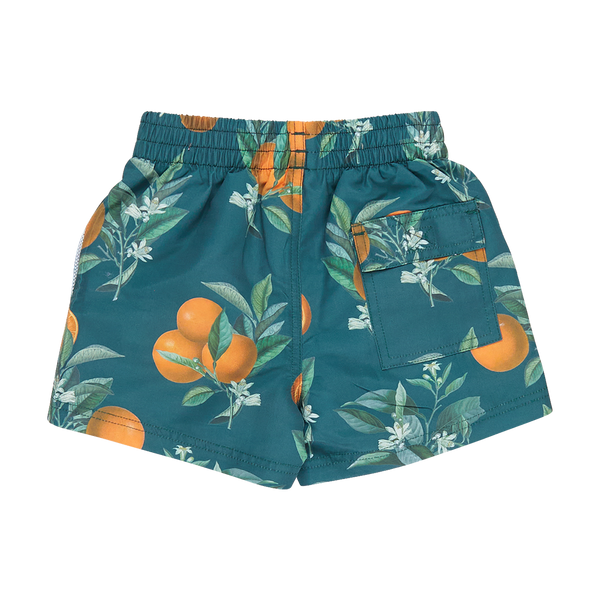 Boys Swim trunk | Green Botanical Oranges