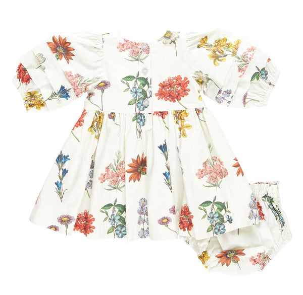 Baby Brooke Dress Set | Notebook Botanical