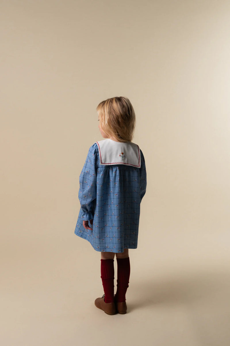 Catherina Embroidered Dress