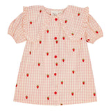 Dolly SS Dress | Pink Berry Gingham