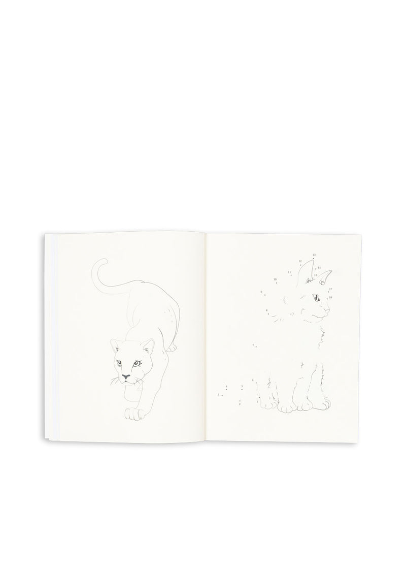 Activity Book | Multi