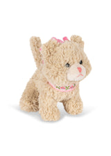 Activity Kitty | Cat