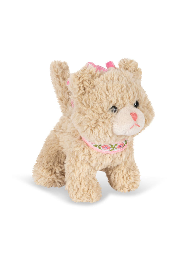 Activity Kitty | Cat