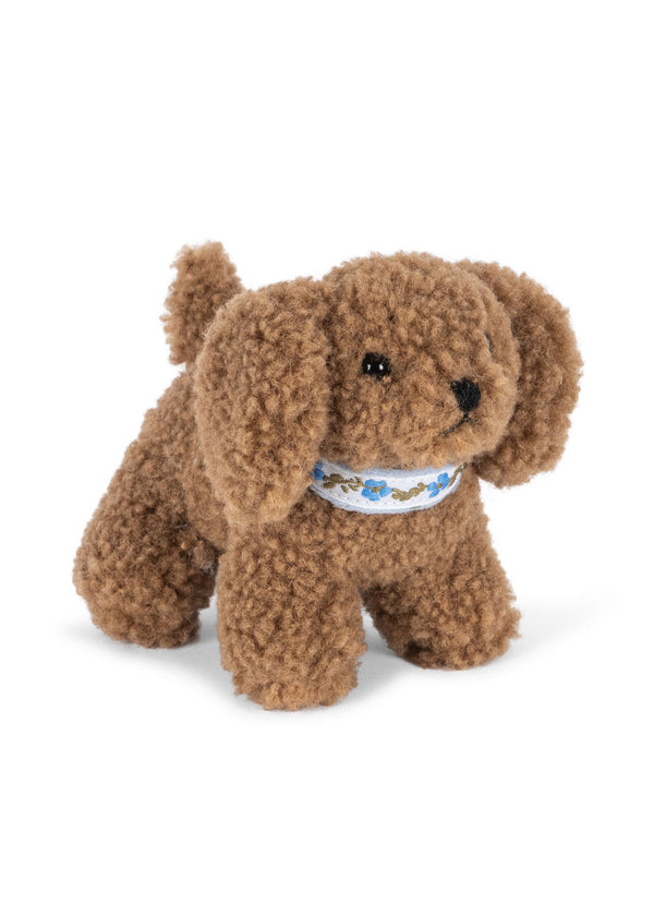 Activity Puppy | Dog